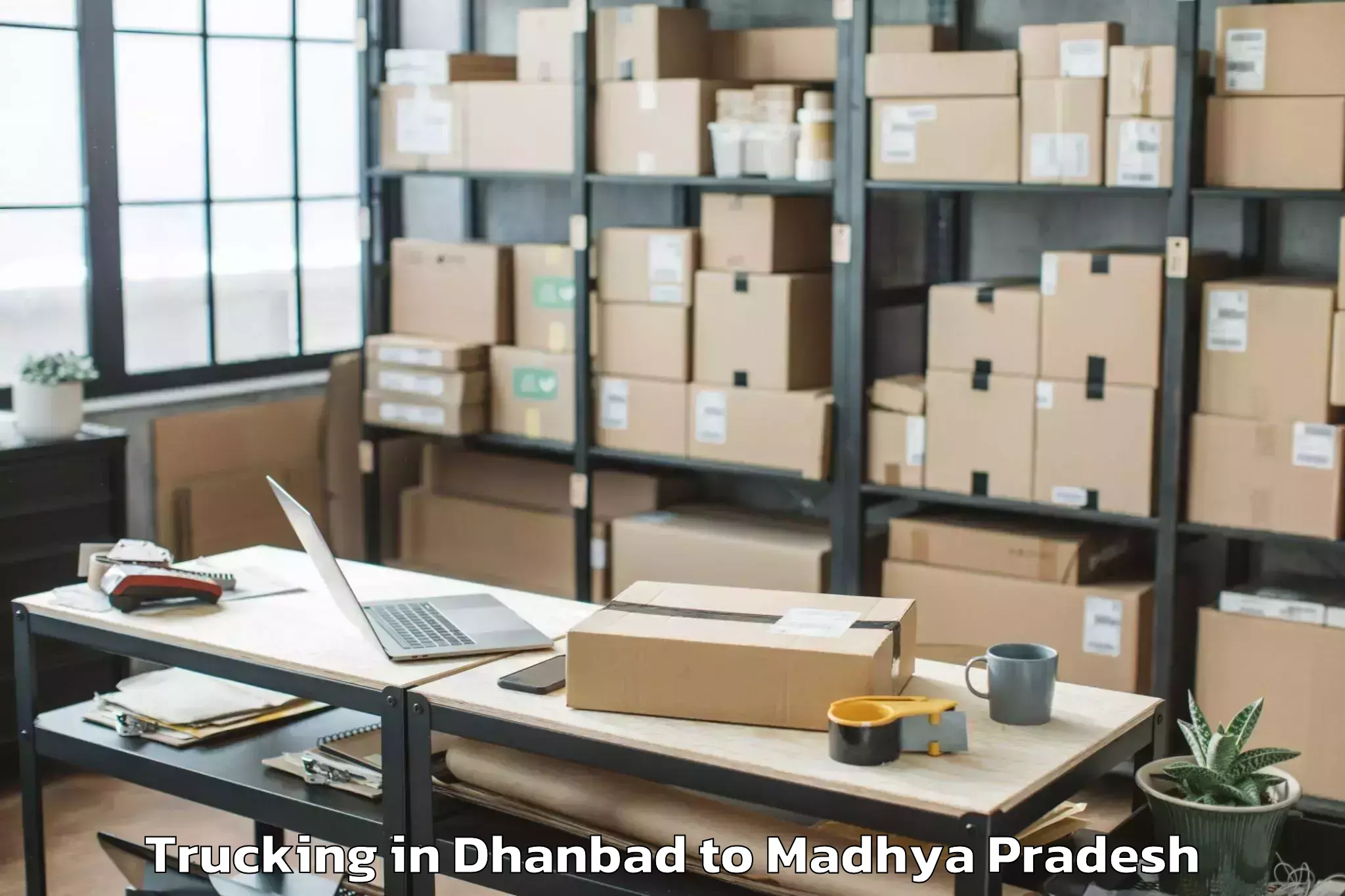 Top Dhanbad to Mandleshwar Trucking Available